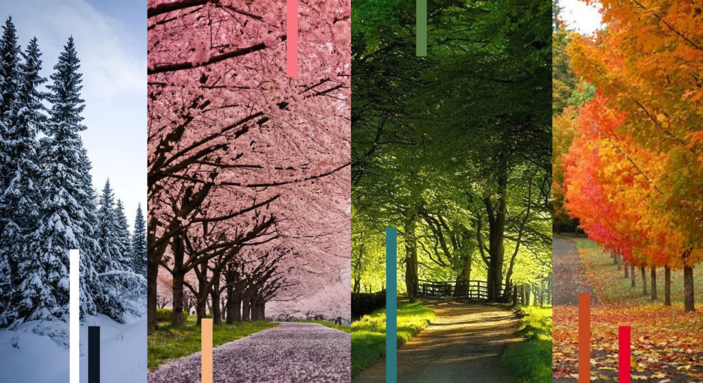 Analiza kolorystyczna. Na zdjęciu pokazane są drzewa w czterech porach roku. Od lewej - zima, wiosna, lato, jesień. Na zdjęcia są nałożone elementy graficzne - kolorowe paski
