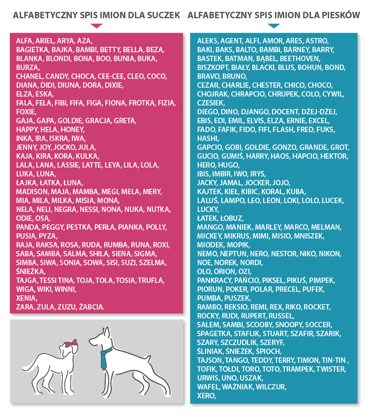 Alfabetyczny spis imion dla suczek i psów. Infografika z różowym panelem, na którym spisane są imiona dla suczek i turkusowym z wypisanymi imionami dla psów.