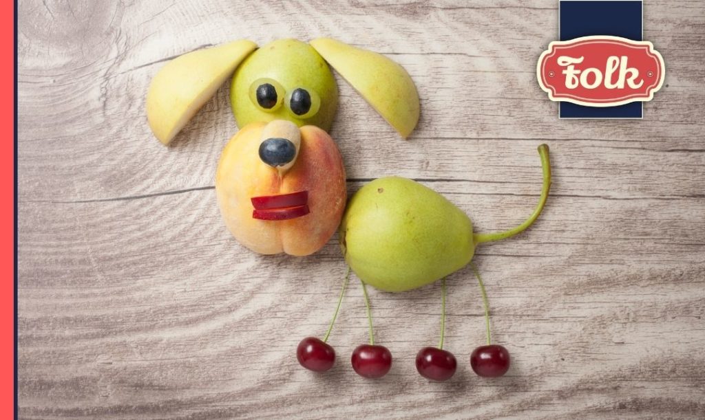 Czy pies może jeść owoce. Pies ułożony z kawałków owoców. Logo Folk