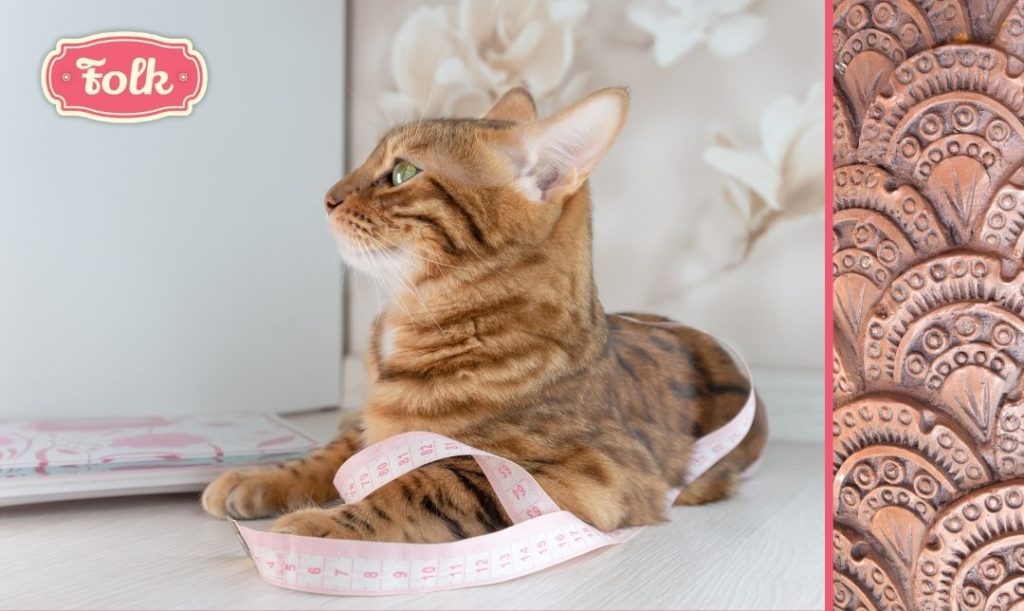 Sprawdzaj wagę kota. Kot z różowa miarą krawiecką i wagą. Graficzny element po prawej stronie ilustracji.