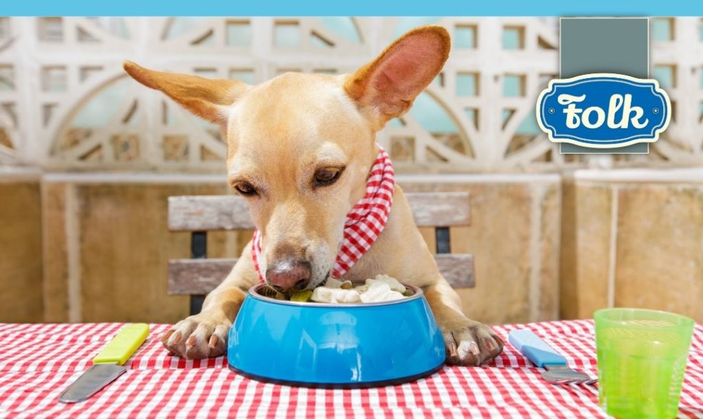 Zdrowy rozsądek to podsrtawa. Mały pies siedzi przy stole nakrytym obrusem w kratkę. Na środku niebieska miska pełna jedzenia, obok leżą sztućce. Po prawej stronie logo Folk.