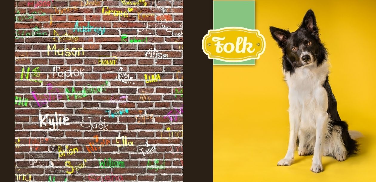 Jak wybrać imię dla psa. Po prawej stronie pies na żółtym tle, po lewej ceglana ściana z wypisanymi imionami, pośrodku logo Folk.