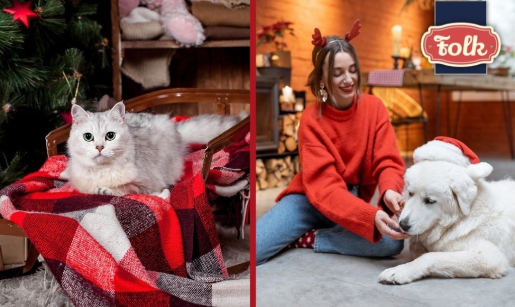 Pies i kot w święta. Z lewej strony zdjęcie kota przy choince, z prawej świąteczne zdjęcie kobiety z białym psem. Na środku logo Folk.