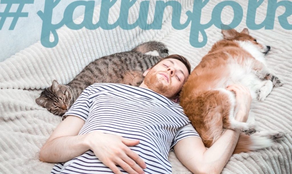 Prezent dla psa i kota - legowisko. Zdjęcie mężczyzny śpiącego z psem i kotem. Napis fallinfolk.