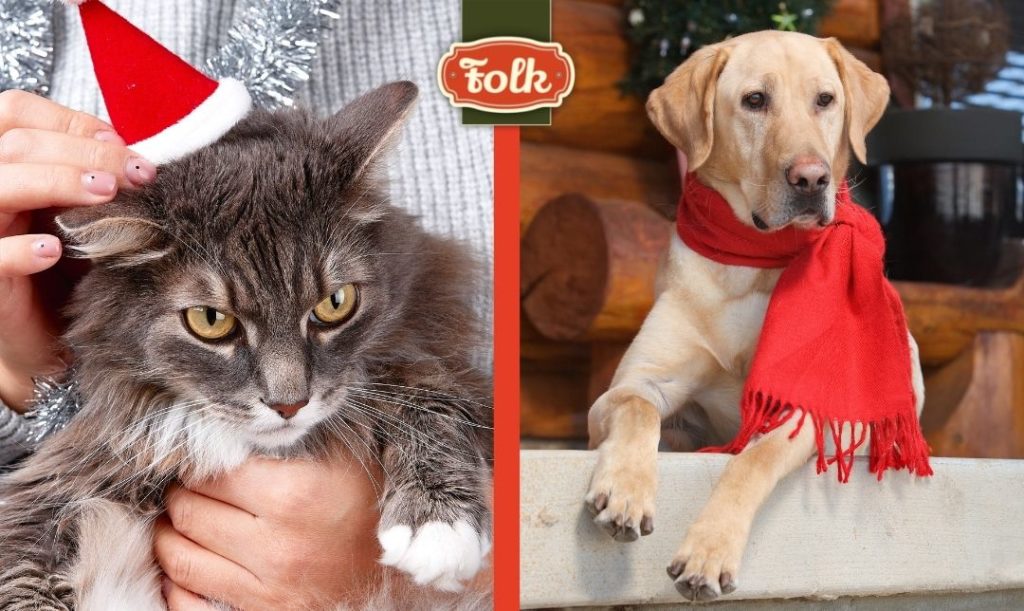 Prezent dla psa i kota - ubranka. Z lewej strony kot w małej świątecznej czapeczce. Z prawej pies w czerwonym szaliku. Logo Folk. 