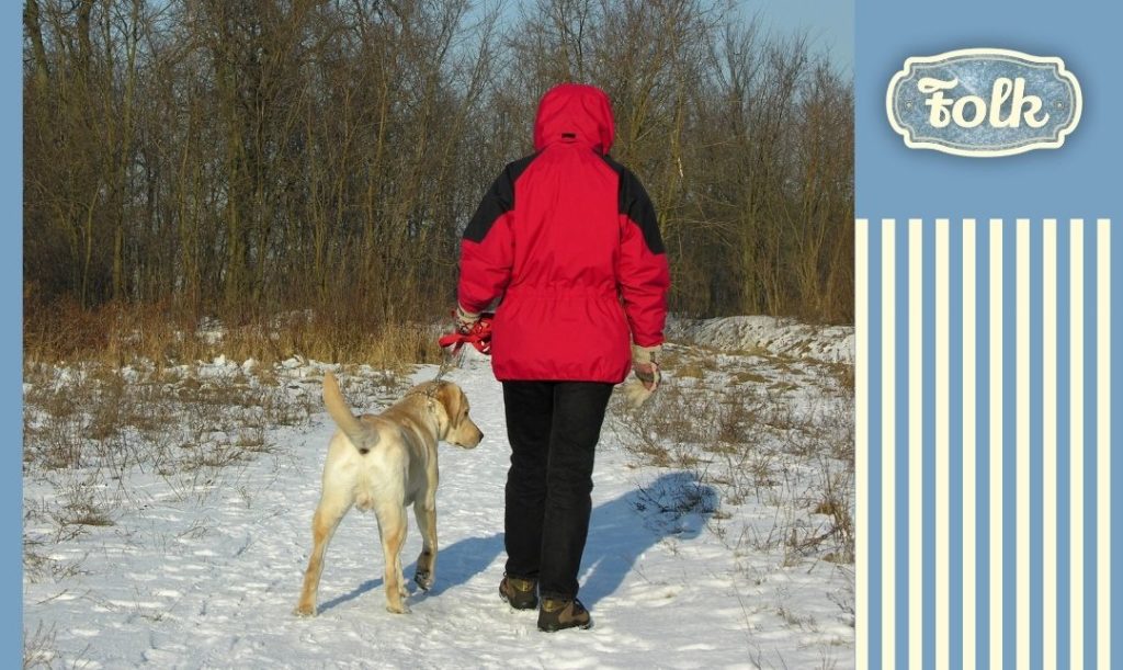 Długi spacer. Człowiek w czerwonej kurtce z psem na spacerze. Zimowa sceneria, logo folk.