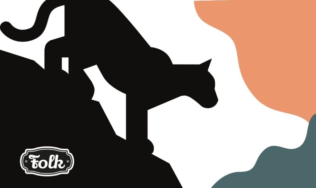 Puma. Grafika czarnej pumy i falujących kształtów w kolorze pomarańczowym i zielonym. Logo Folk.