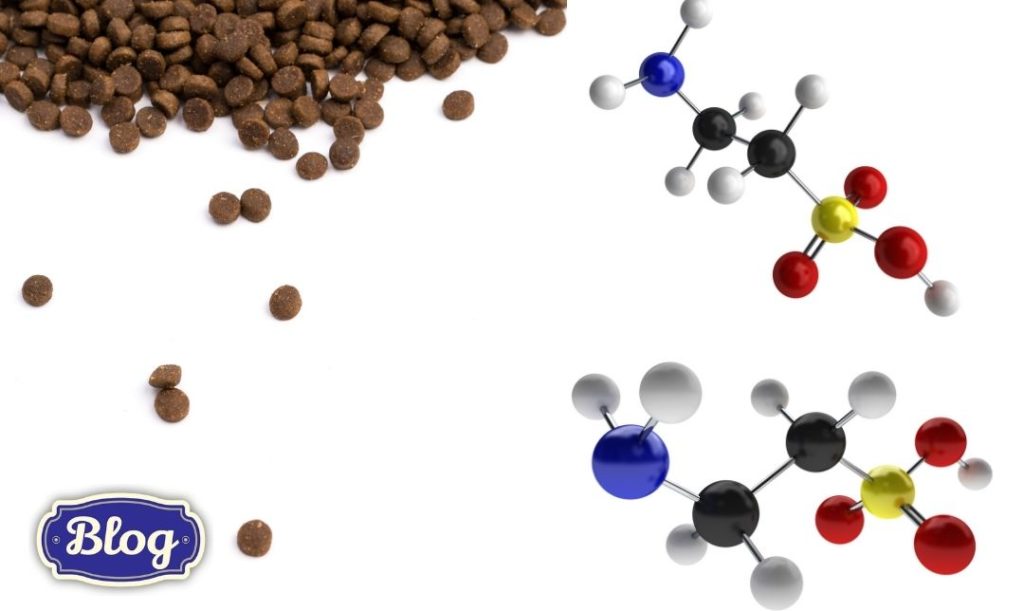 Jeden z ważniejszych składników odżywczych. Zdjęcie karmy i symulacja wiązania chemicznego. Logo Blog.