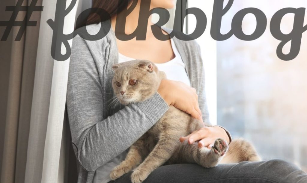 Przyjemne popołudnie z kotem na kolanach. Kot na kolanach swojej pani. Napis folkblog.