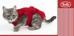 Sterylizacja i kastracja kota. Zdjęcie kota w czerwonym kaftanie po sterylizacji. Z prawej strony element graficzny białych pasków na czerwonym tle. Logo FOLK.