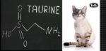 Tauryna w diecie kota. Na czarnej tablicy napisany kredą wzór chemiczny. Po prawej zdjęcie kota i logo FOLK.