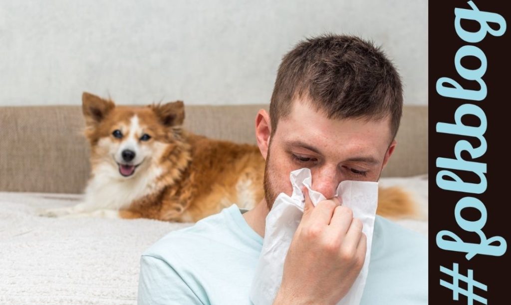 Wiosna czasem alergii. Zdjęcie mężczyzny wycierającego nos chusteczką. W tle pies. Napis folkblog.