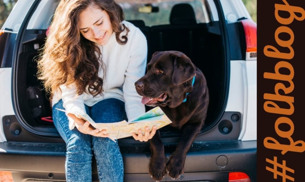 Rób przerwy w podróży. Zdjęcie kobiety i psa. Siedzą w otwartym bagażniku samochodu i patrzą w mapę drogową. 