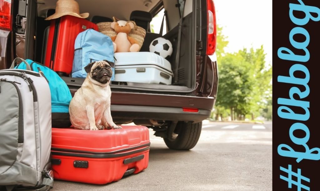 W podróż za granicę. Pies siedzący na czerwonej walizce przy samochodzie pełnym bagażów.