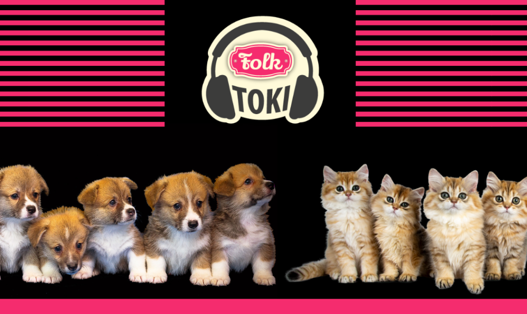 Zwierzęta noszące identyczne imiona. Zdjęcie kilku psów i kilu kotów, element graficzny w paski i logo FOLKTOKI.
