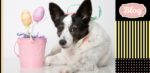 Wielkanoc z psem - jak bezpiecznie przetrwać święta. Zdjęcie psa obok różowego pojemnika z jajkami na patyku. Z prawej element graficzny w paski i kropki. Logo Blog.