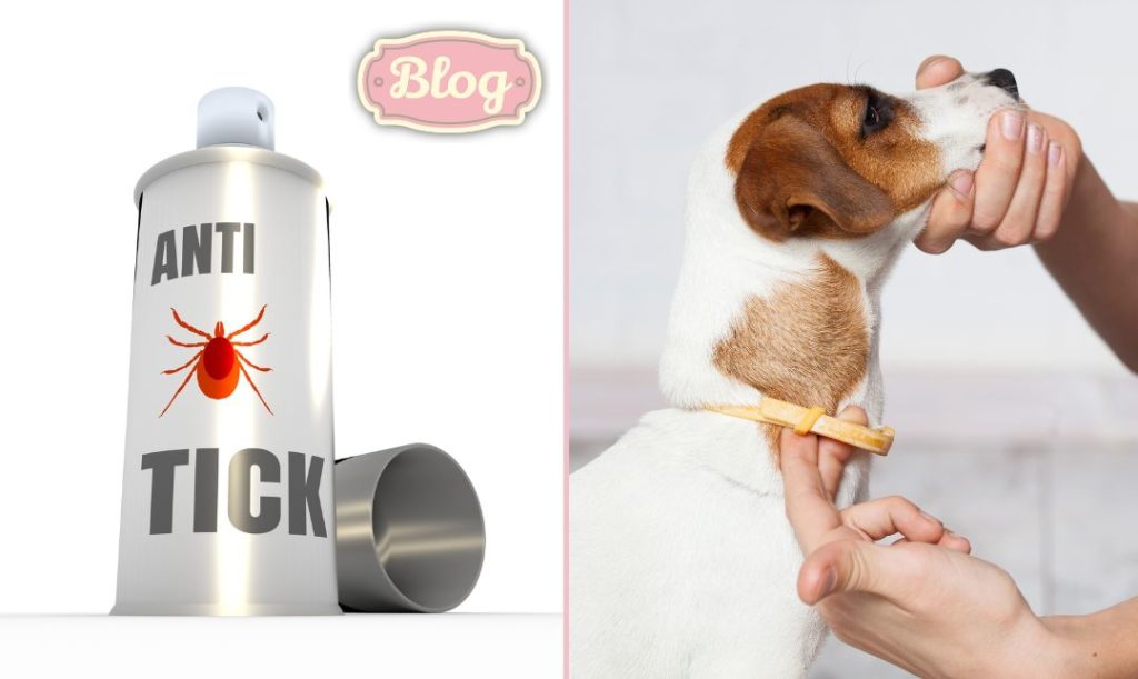 Zapobieganie kleszczom. Z lewej zdjęcie aerozolu przeciw kleszczom, z prawej pies w obroży przeciw kleszczom. Logo Blog.