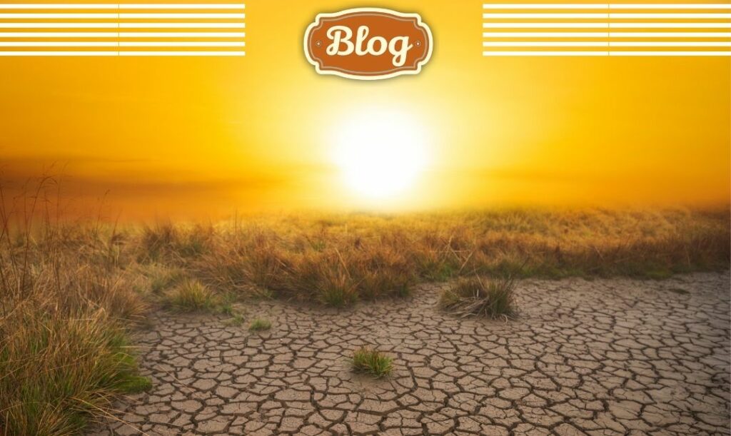 Zienia się klimat. Zdjęcie spękanej ziemi i gorejącego słońca, logo Blog.