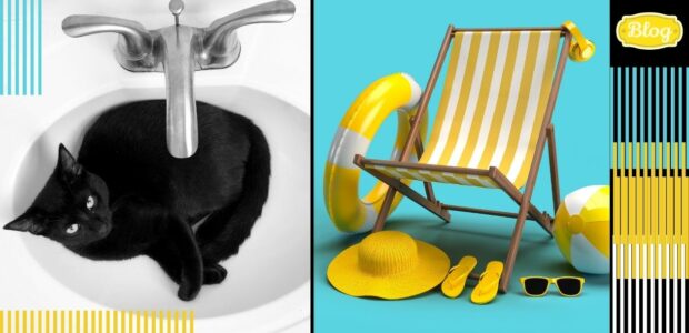 Jak pomóc kotu przetrwać upały. Z lewej strony zdjęcie czarnego kota w białej umywalce. Z prawej na turkusowym tle leżak, kapelusz, klapki, koło dmuchane i piłka, wszystko w żółtym i białym kolorze. Po prawej paski i logo Blog.,