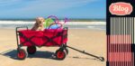 Wakacje z psem. Zdjęcie psa w wózku z rakietami do badmintona na plaży. Po prawej stronie element graficzny z paskami i logo Blog.