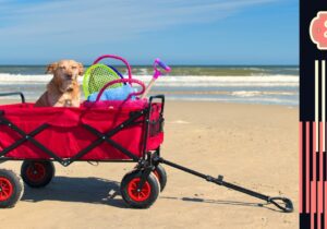 Wakacje z psem. Zdjęcie psa w wózku z rakietami do badmintona na plaży. Po prawej stronie element graficzny z paskami i logo Blog.