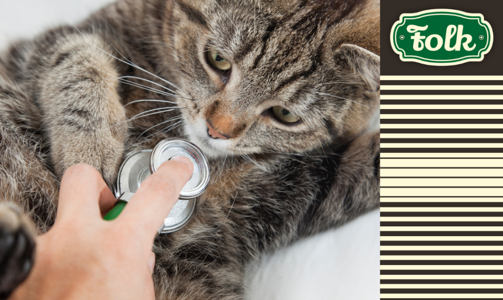 Farmaceutyczne wsparcie. Zdjęcie z bliska kota badanego stetoskopem. Element graficzny w paski. Logo FOLK.
