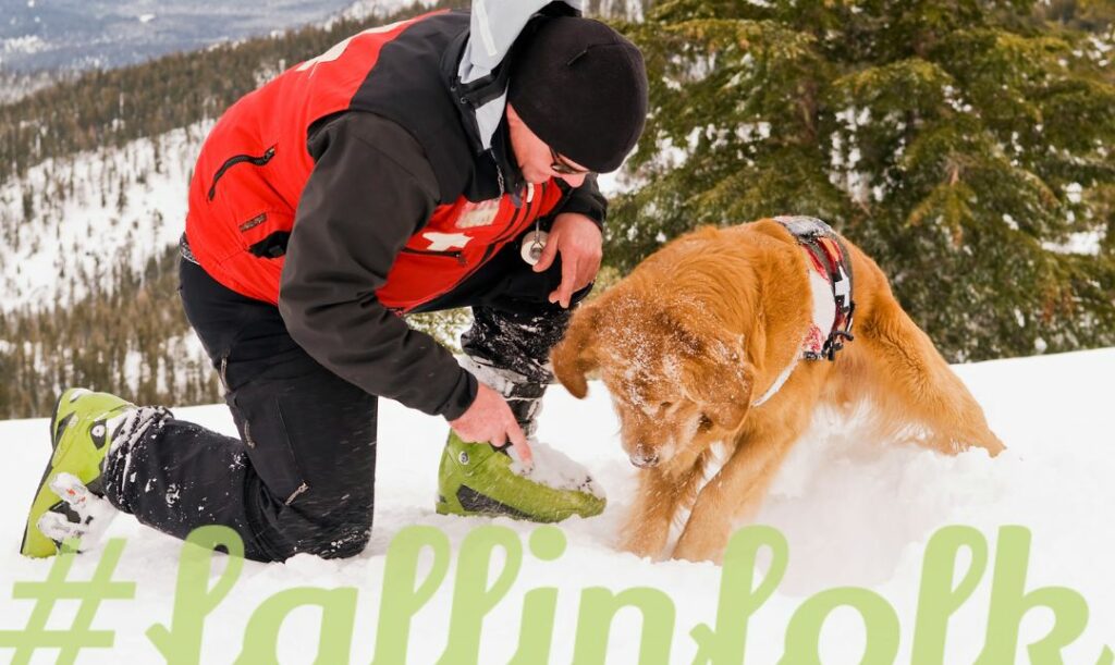 Inteligencja i odwaga. Zdjęcie ratownika z psem w górach, na śniegu. Napis fallinfolk.