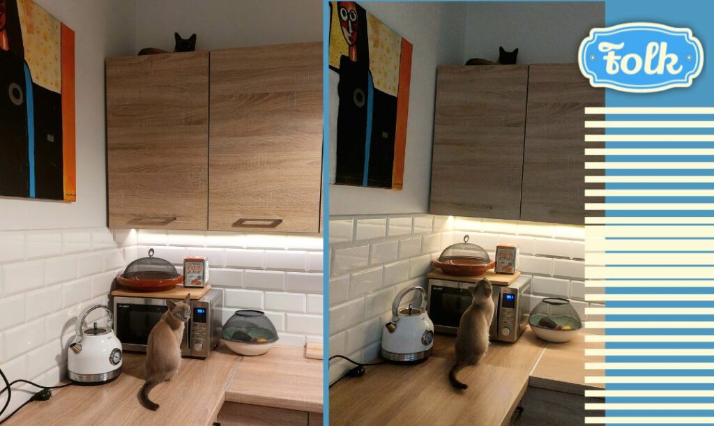Janina szybko poczuła się swobodnie. Dwa zdjęcia z wnętrza kuchni. Na obu widać kotkę tonkijska siedzącą na meblach kuchennych na górze i druga stojąca na blacie. Element graficzny w paski. Logo FOLK.