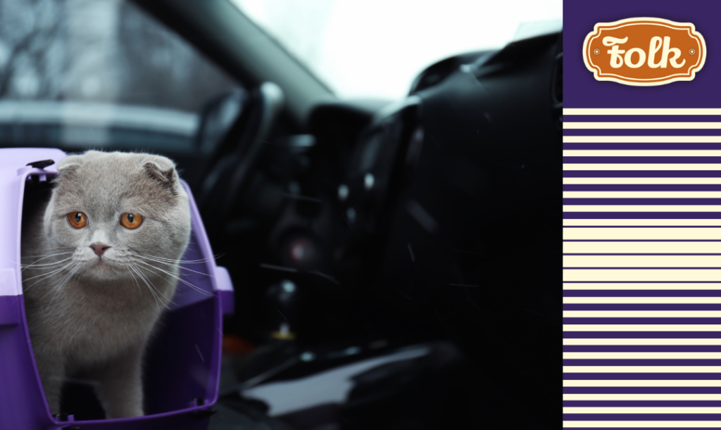 Podróżowanie samochodem. Zdjęcie kota w transporterze we wnętrzu samochodu. Element graficzny w paski. Logo FOLK.