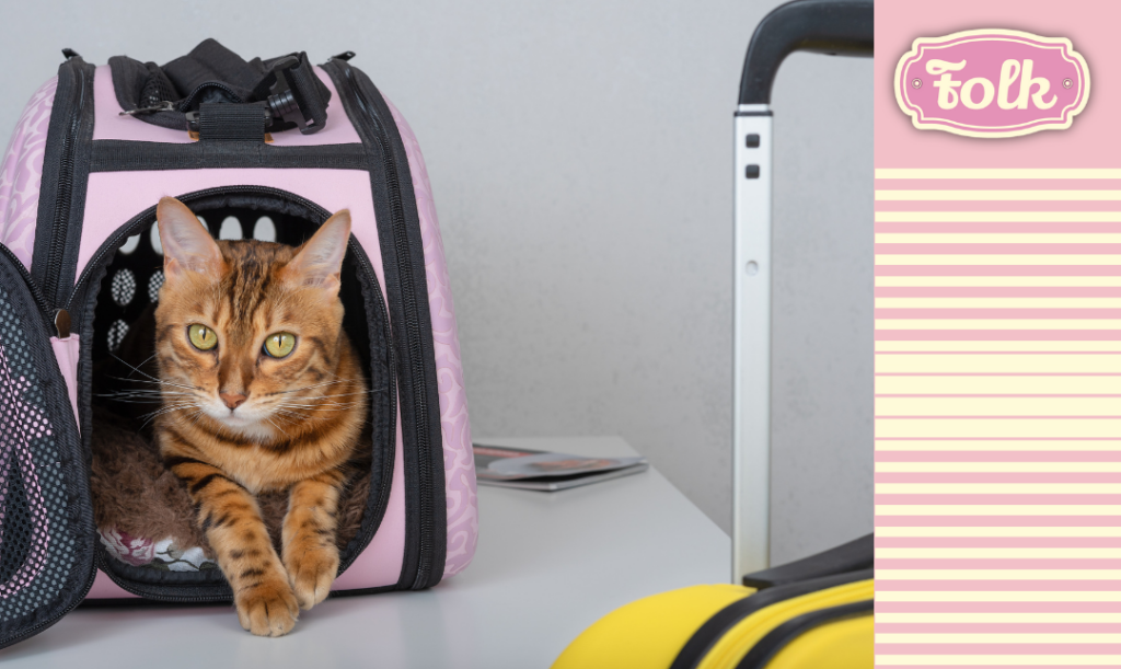Włóż do transportera rzecz, która Tobą pachnie. Zdjęcie kota w transporterze, na pierwszym planie żółta walizka. Element graficzny w paski. Logo FOLK.