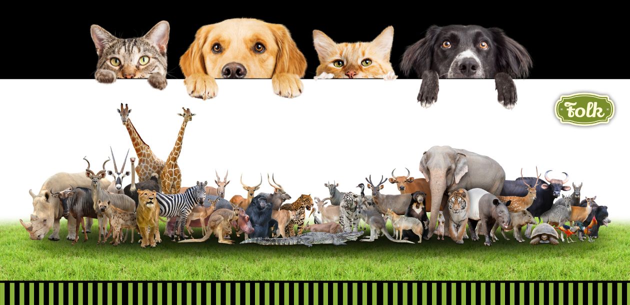 Światowy Dzień Zwierząt. Zdjęcie wielu egzotycznych zwierząt oraz psów i kotów. Logo FOLK i element graficzny w paski.