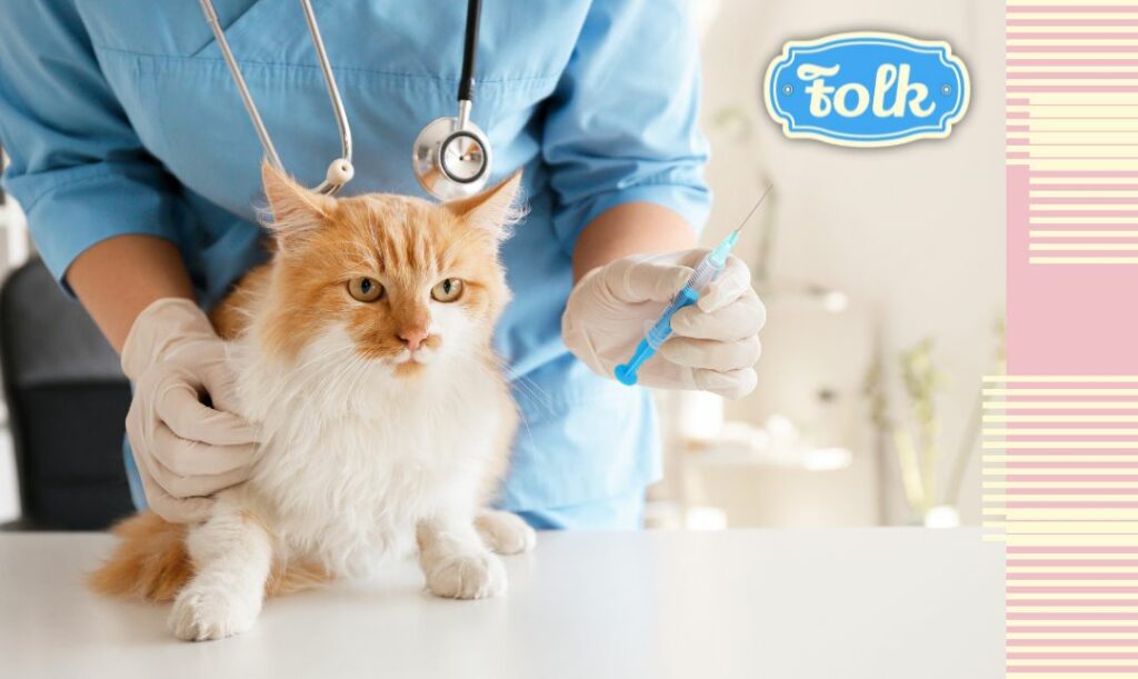 Leki antykoncepcyjne lub uspokajające. Zdjęcie biało-rudego kota u weterynarza ubranego na niebiesko. Weterynarz trzyma w dłoni strzykawkę. Z prawej strony element graficzny w paski i niebieski logotyp FOLK.