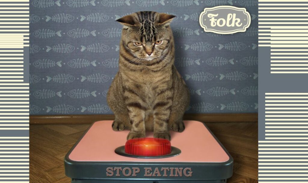 Odżywcza wartość podrobów. Zdjęcie szarego kota w prążki siedzącego na różowej wadze z zapalną ostrzegawczą czerwoną lampką. Na wadze napis STOP EATING. Po obu stronach zdjęcia elementy graficzne w kremowe paski na szarym tle. Szare logo FOLK.