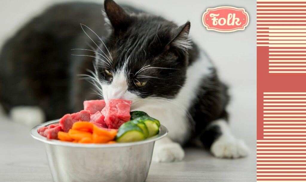 Podroby są dodatkiem diety. Zdjęcie czarno-białego kota jedzacego z metalowej miski, w której są kawałki surowego mięsa i warzyw. Po prawej stronie element w kremowe paski na czerwonym tle. Logo FOLK w Różowym kolorze.