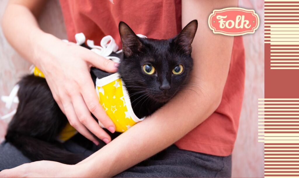 Zabieg nie wpływa negatywnie na psychikę kotki. Zdjęcie czarnego kota w żółtym ubranku po sterylizacji w objęciach człowieka w czerwonej bluzce. Z prawej strony element w paski i różowy logotyp FOLK.