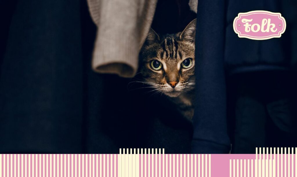 Zapewnij kotce spokojne, zacienione miejsce. Zdjęcie pstrokatego kota, któremu wystaje tylko głowa spomiędzy ciemnych ubrań w szafie. Na dole element graficzny w paski i  po prawej stronie różowy logotyp FOLK.