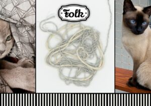 Pomieszanie z poplątaniem. Z lewej strony zdjęcie schowanego w poscieli szatego kota tonkijskiego. Z prawej strony zdjęcie szylkretowego kota tonkijskiego siedzącego na balkonie. W środku zdjęcie spętlonej wełny. Na górze biało-czarne logo FOLK. Na dole element graficzny w paski