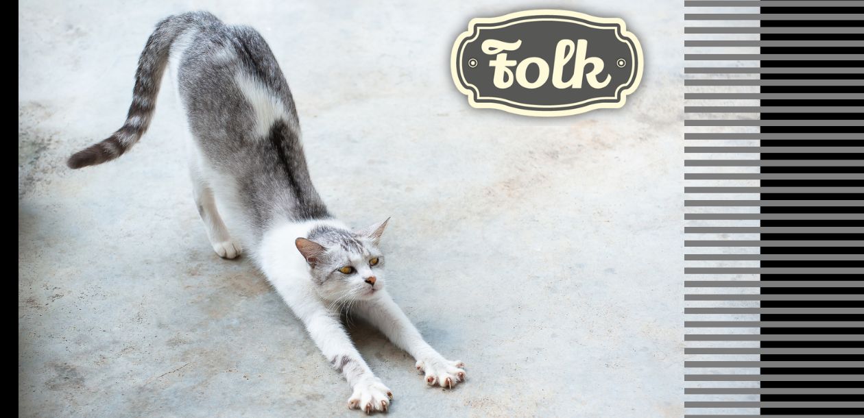 Ruja kotki – objawy i sposoby na złagodzenie - Folk