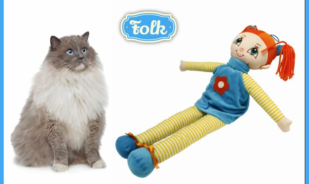 Z j. ang. szmaciana lalka. Z lewej strony zdjęcie kota na białym tle. Z prawej strony zdjęcie szmacianej lalki na białym tle. Na środku niebieskie logo FOLK.
