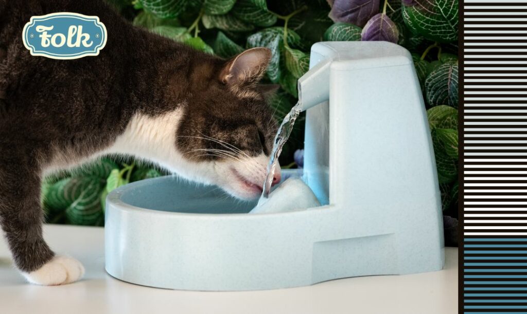Jak zachęcić kota. Kot pijący z niebieskiego poidełka z fontanna. Po prawej stronie paski i niebieskie logo FOLK.