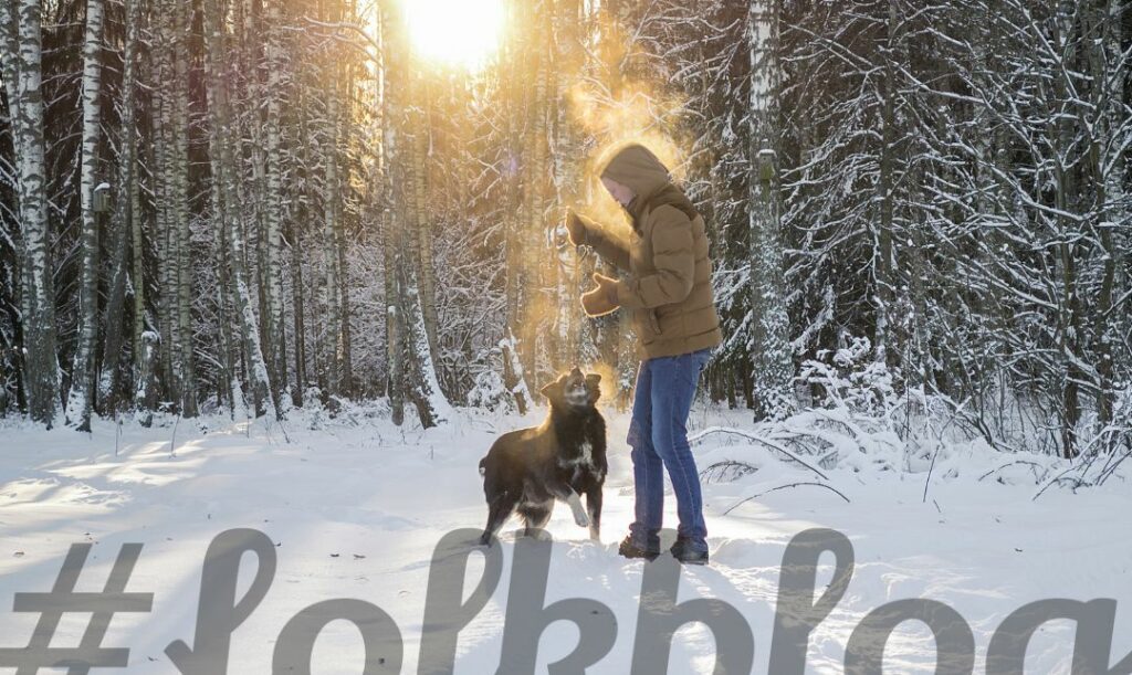Pies zwykle ma ochotę na spacer. Zdjęcie kobiety z psem w zaśnieżonym lesie. na dole napis folkblog.