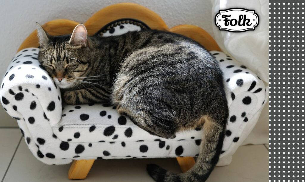 Zapewnij miejsce do wypoczynku. Szary kot śpi na mini sofce białej w czarne ciapki. Po prawej stronie na czarnym tle jasne kropki i na białym tle czarne logo FOLK. 