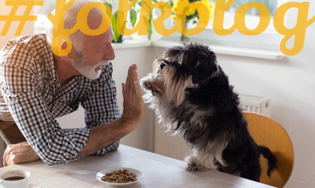 Możesz sporo zrobić, by przedłużyć życie kochanemu psu. Zdjęcie starszego pana, który przybija piątkę ze swoim psem. Na górze żółty napis folkblog. 