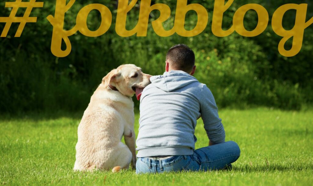 Zapewnij psu spokojne życie. Zdjęcie od tyłu siedzącego mężczyzny i dużego psa na trawie. Na górze żółty napis folkblog. 